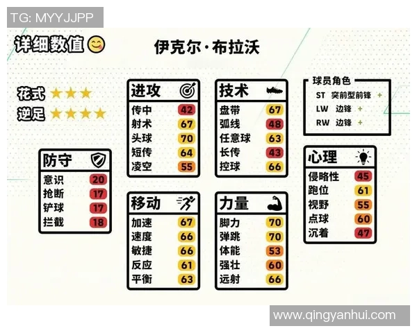 足球明星30号代表的传奇之路与辉煌成就解析